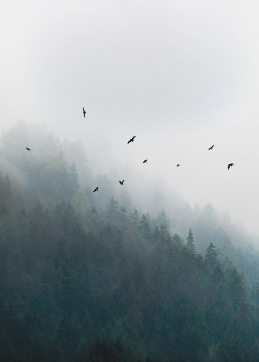Foggy Morning 4 | Poster