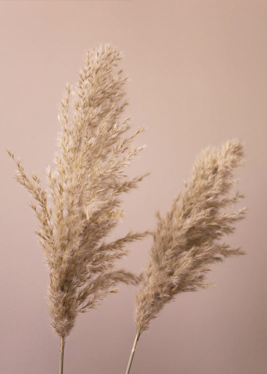 Grass 22 | Poster
