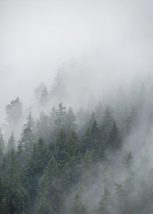 Nebliger Morgen 2 | Leinwand