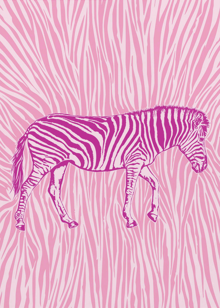 African Zebra striking camouflage | Poster