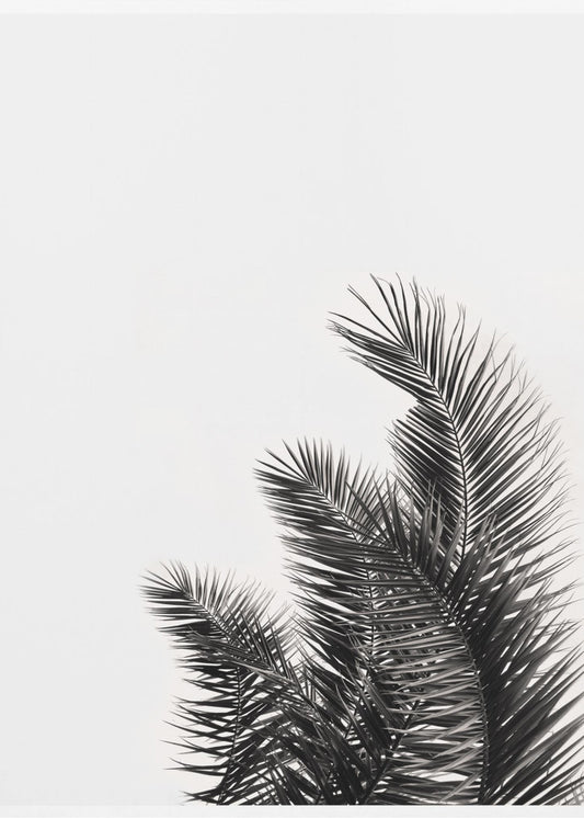 Palmenflüstern | Poster