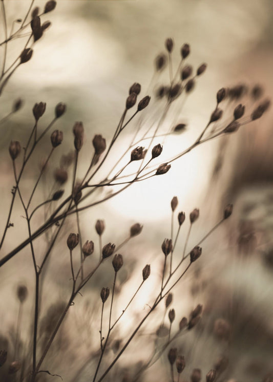 Herbstlichter | Leinwand