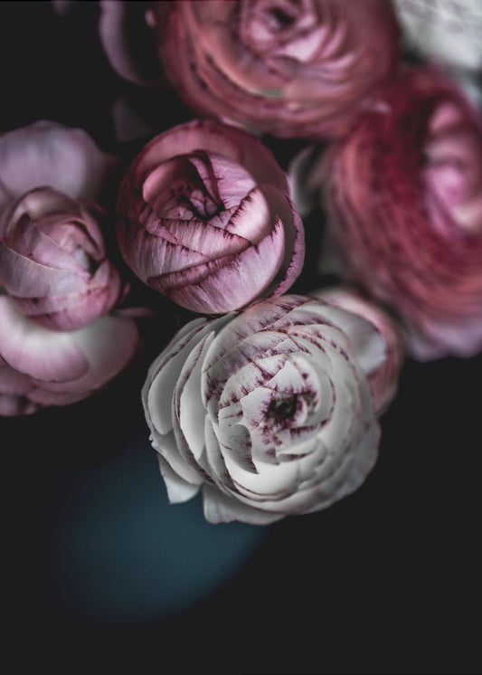 Dunkle Blumen 2 | Leinwand