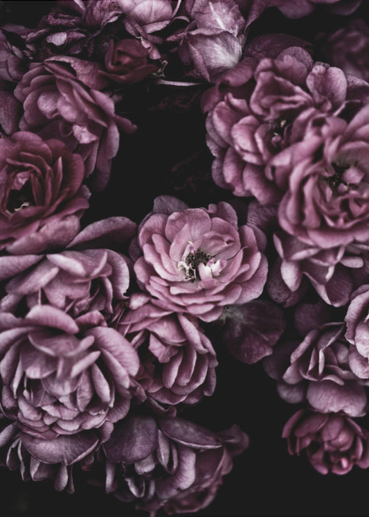 Wilde Rosen | Leinwand