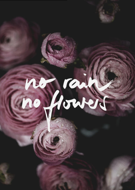 Kein Regen, keine Blumen 2 | Leinwand
