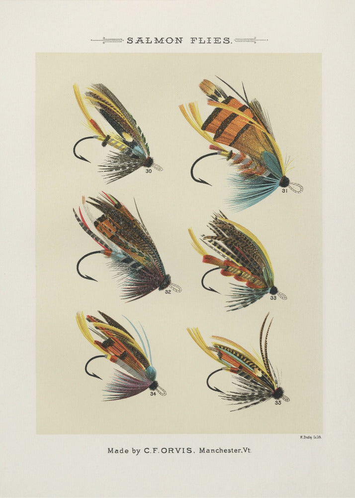 Salmon Fliee 1892 | Poster