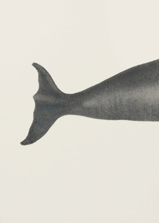 Wal-Cut I Handkolorierte Meeres-Lithographie 1824 | Poster