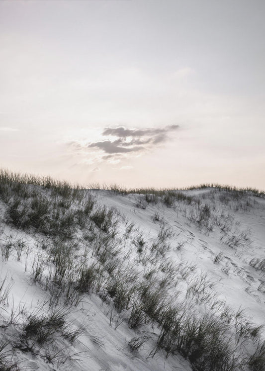 At The Coast | Poster