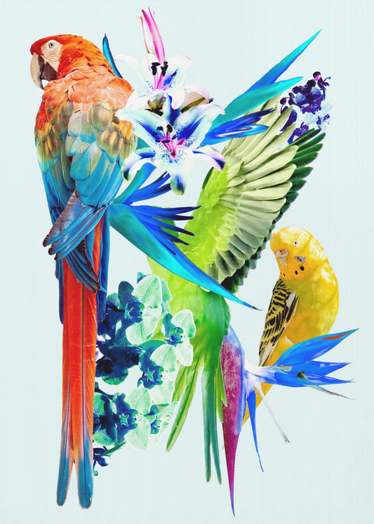 Birds of Paradise I | Poster