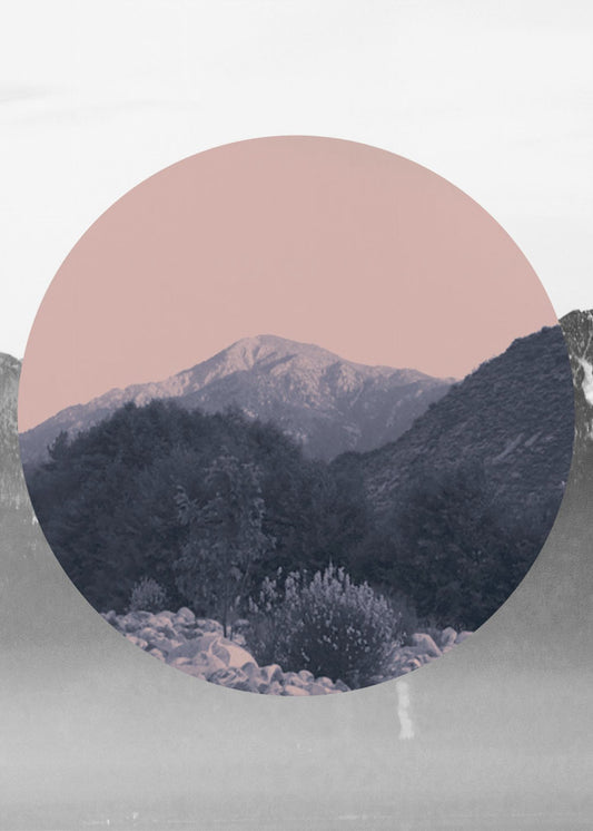 Shapes In Nature II | Canvas