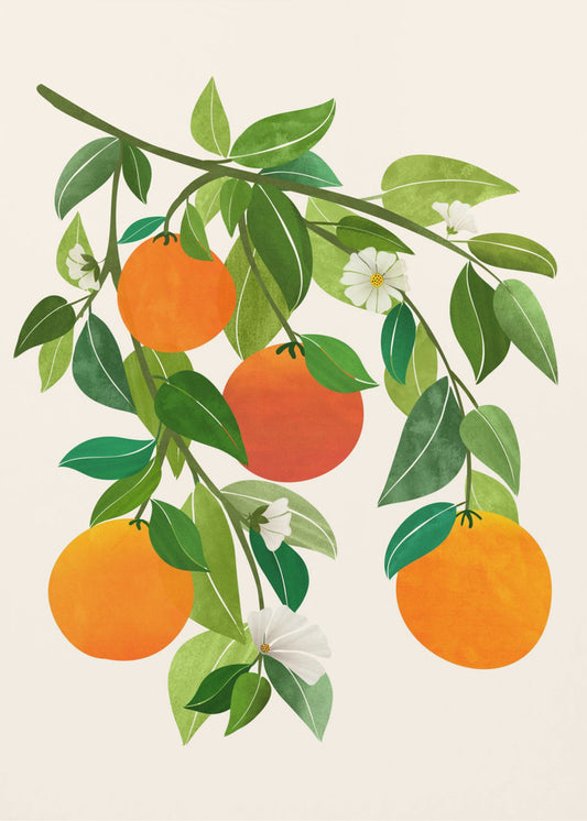 Orangen und Blüten II | Poster