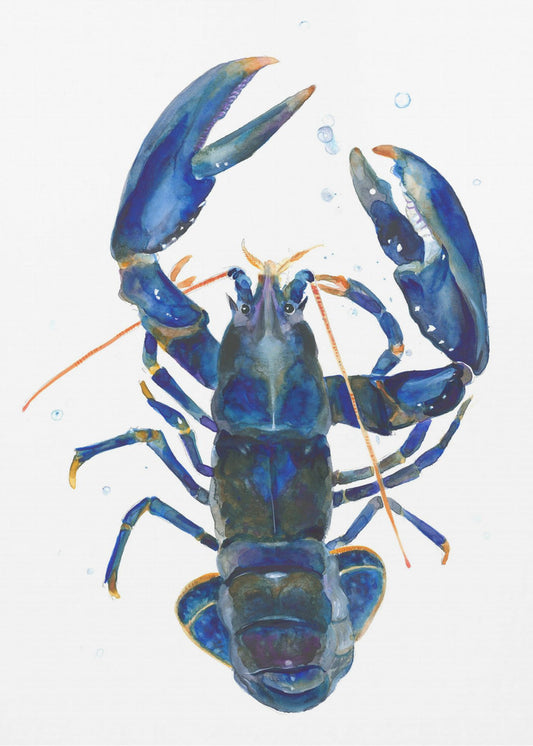 A Blue Lobster | Canvas