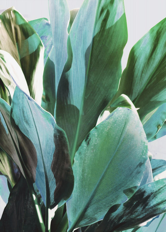 Green Leaves I | Canvas
