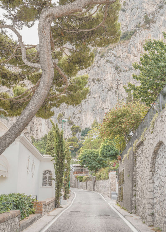 Straßen von Capri | Poster