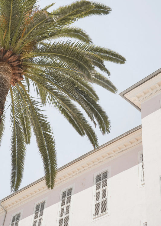 Tropical Menton | Canvas