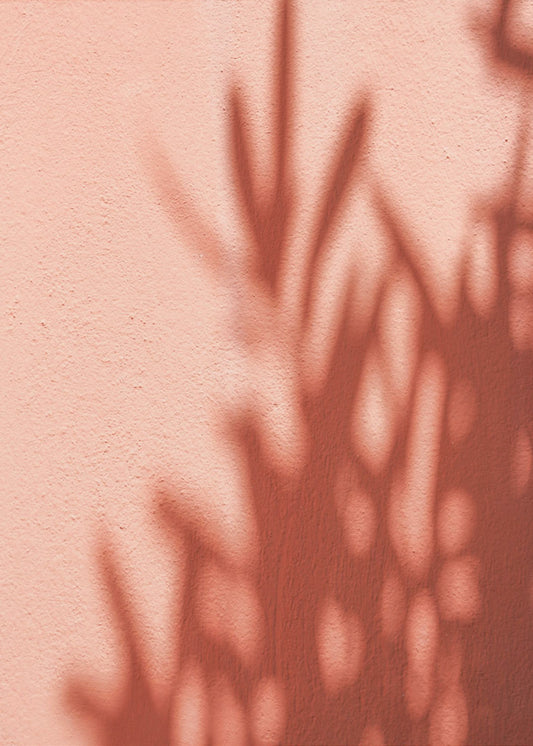 Shadows | Canvas