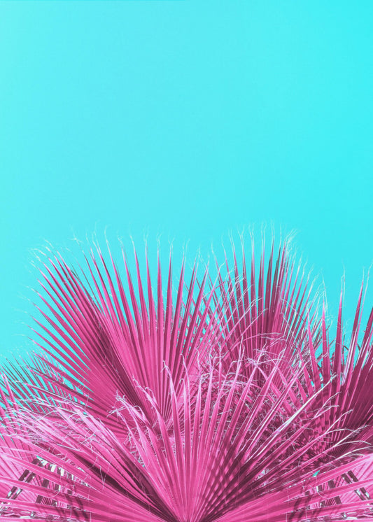 Electric Pink Palm Fronds | Canvas