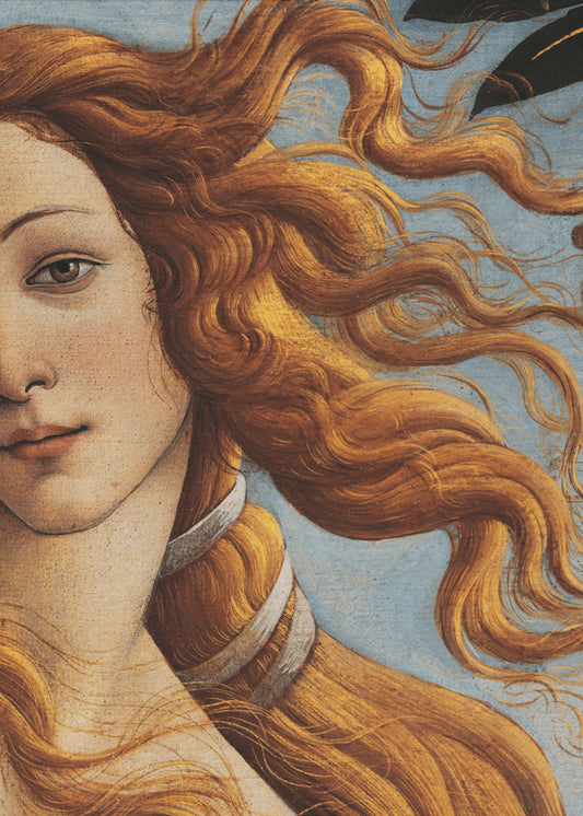 The Birth of Venus by Sandro Botticelli | Canvas