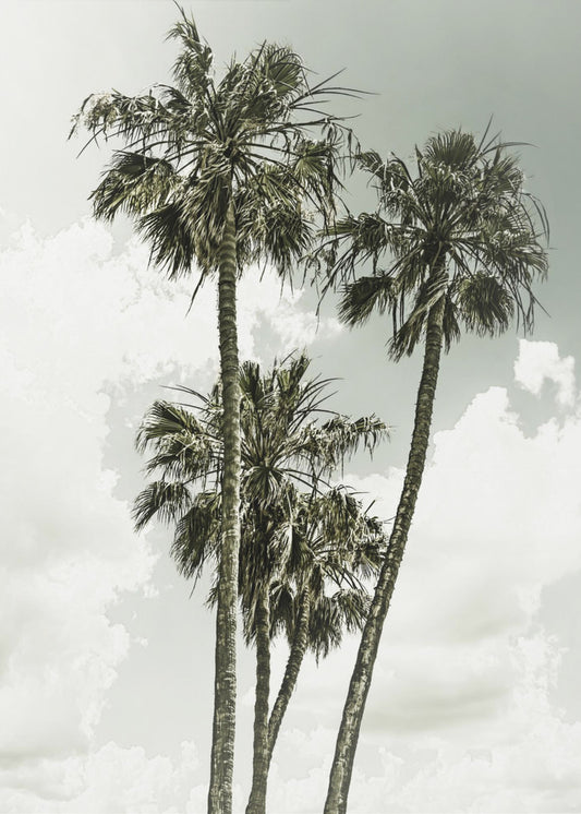 Palmen und Himmel | Vintage | Leinwand