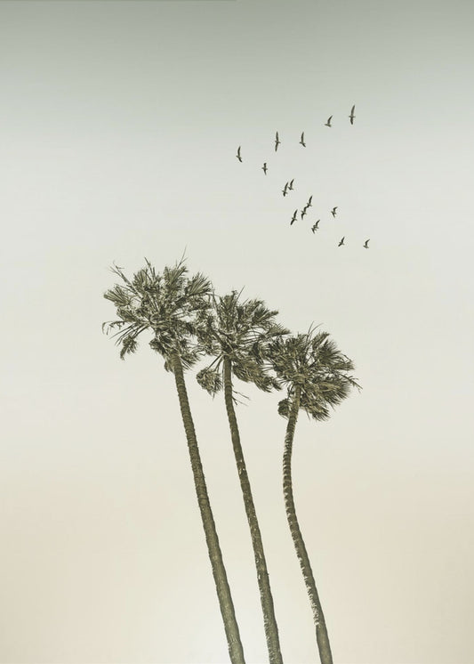 Minimalistische Vintage-Palmen und Sonnenuntergang | Leinwand