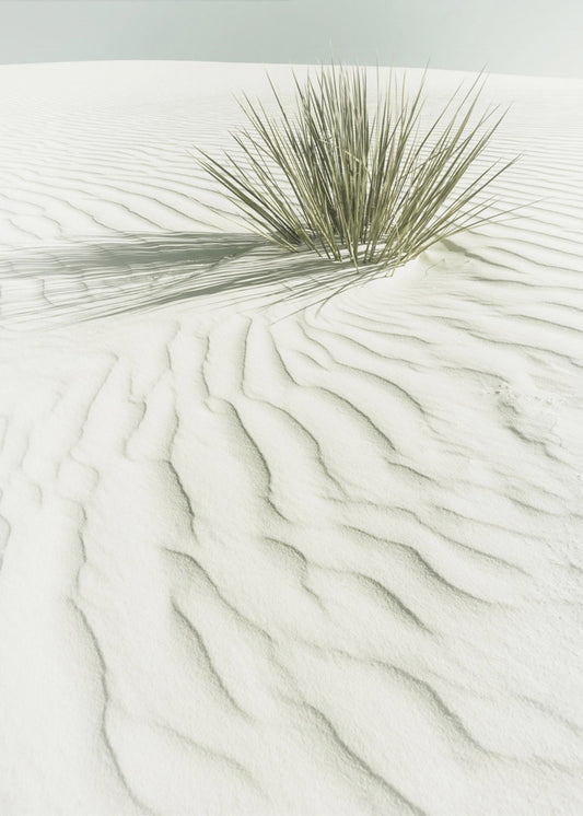 WHITE SANDS Idyllic vintage scenery | Poster
