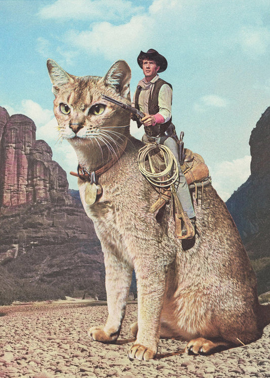 Katze Lone Ranger | Poster