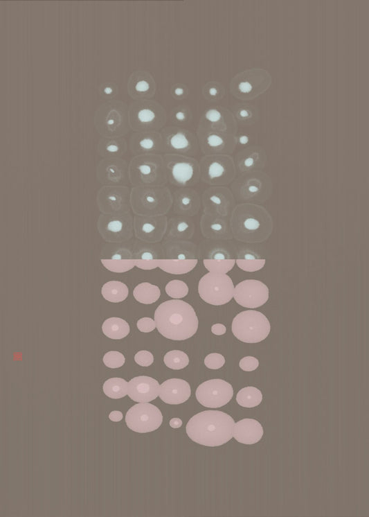 Test Series | Canvas
