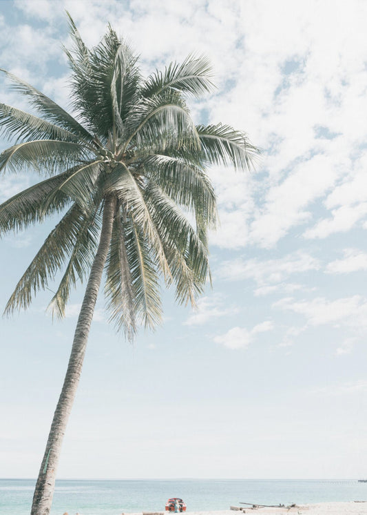 Palme am Strand 2 | Leinwand