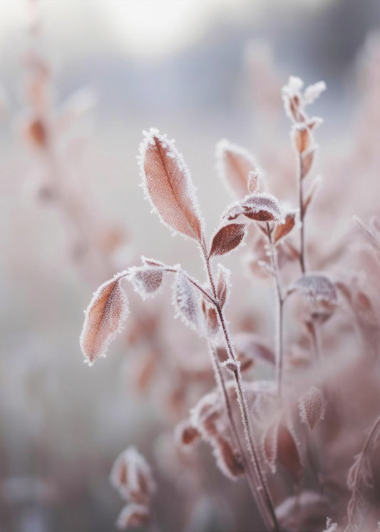 Frosted Elegance | Leinwand