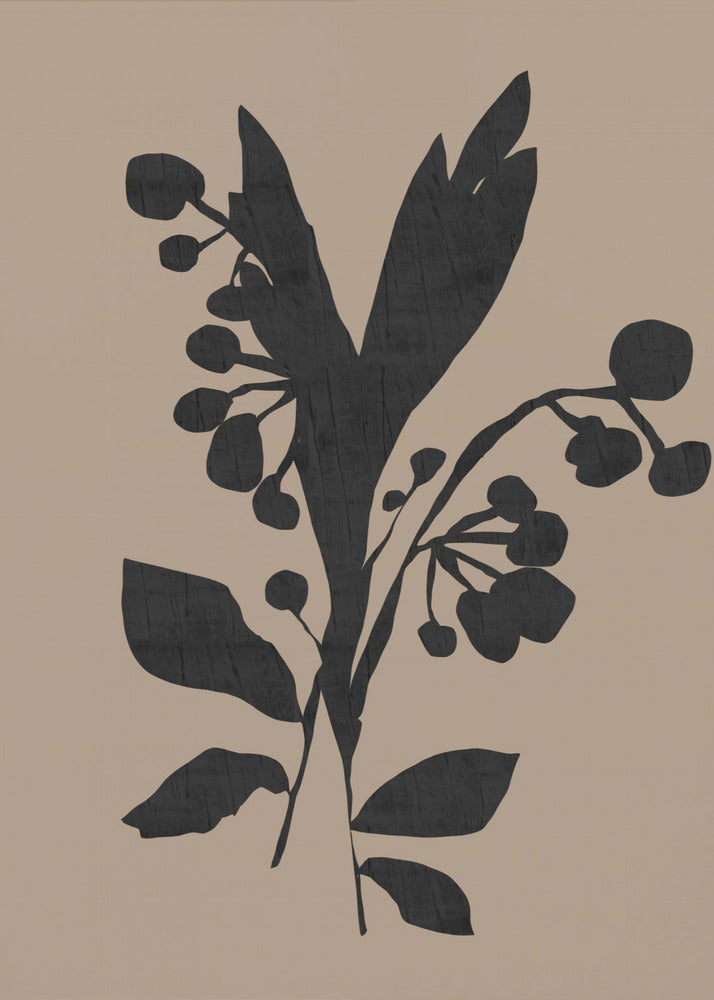 Schwarze Blumenknospen Moderne Botanische Silhouette | Leinwand