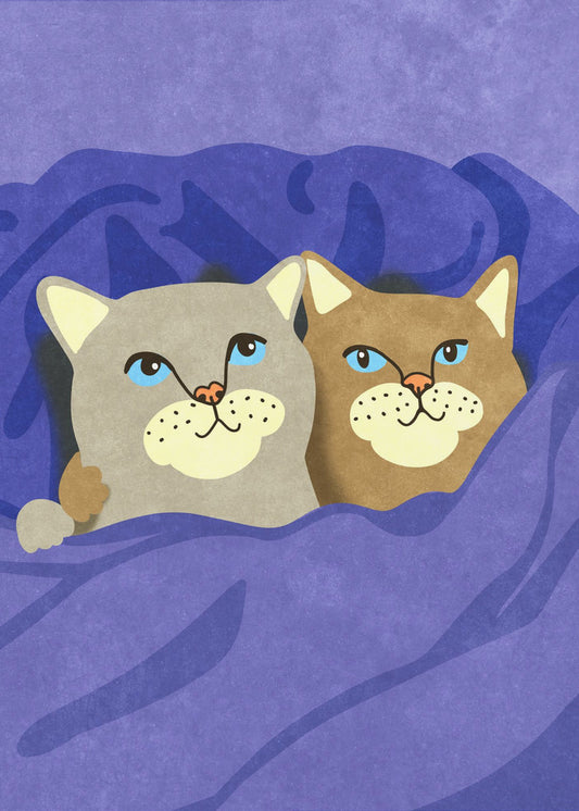 Katzen im Bett | Poster