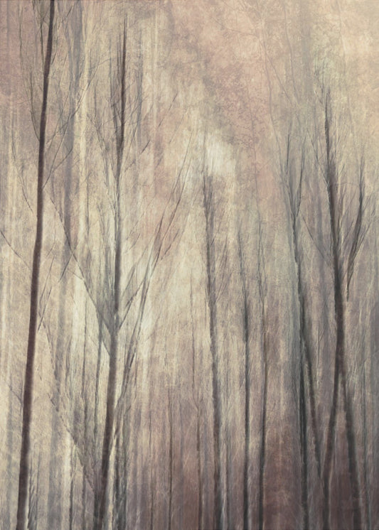 Herbstwald | Leinwand