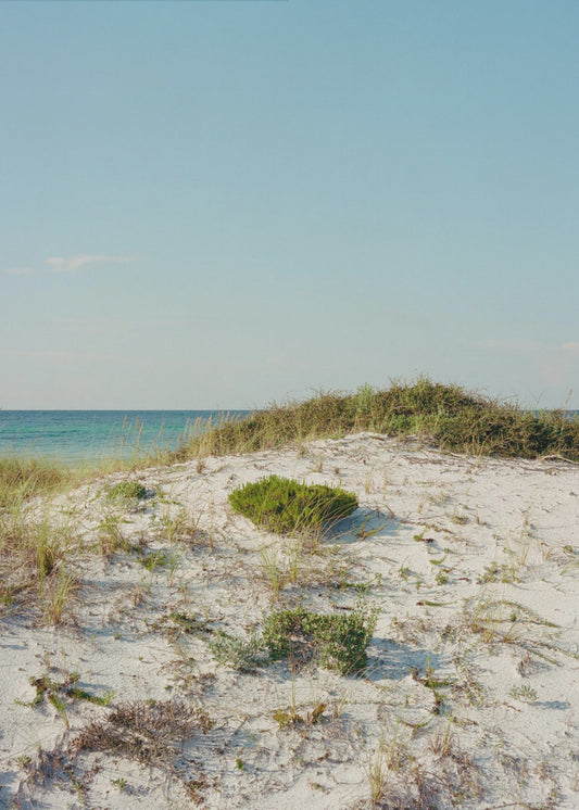 30a Dunes II | Poster