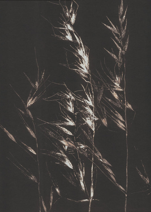 Wildes Gras | Poster