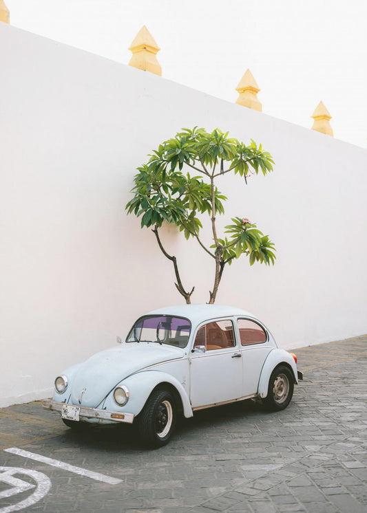 Pastel Volskwagen Beetle in the streets of Oaxaca Mexico | Canvas
