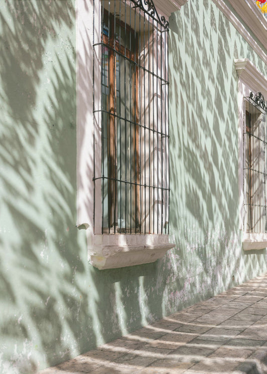 Greens of Oaxaca | Mexico travel photography | Canvas