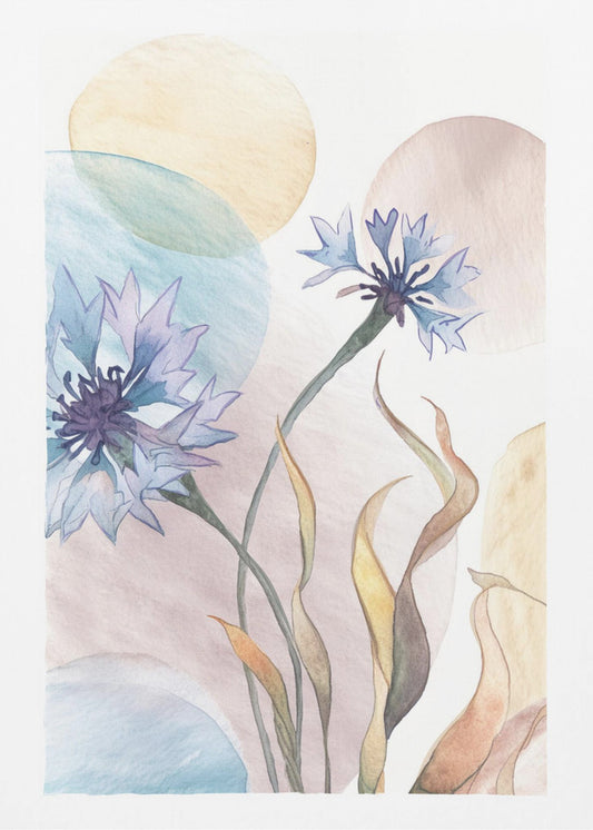 Watercolor Cornflowers | Canvas