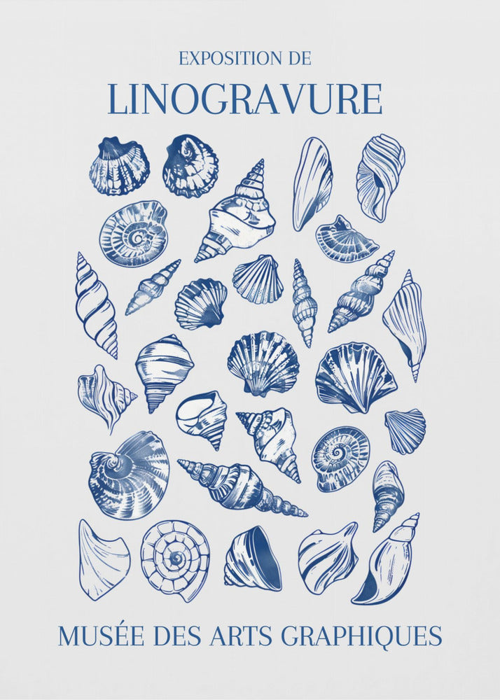Lino Seashell Art Market | Canvas