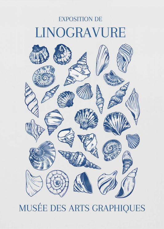 Lino Seashell Art Market | Canvas