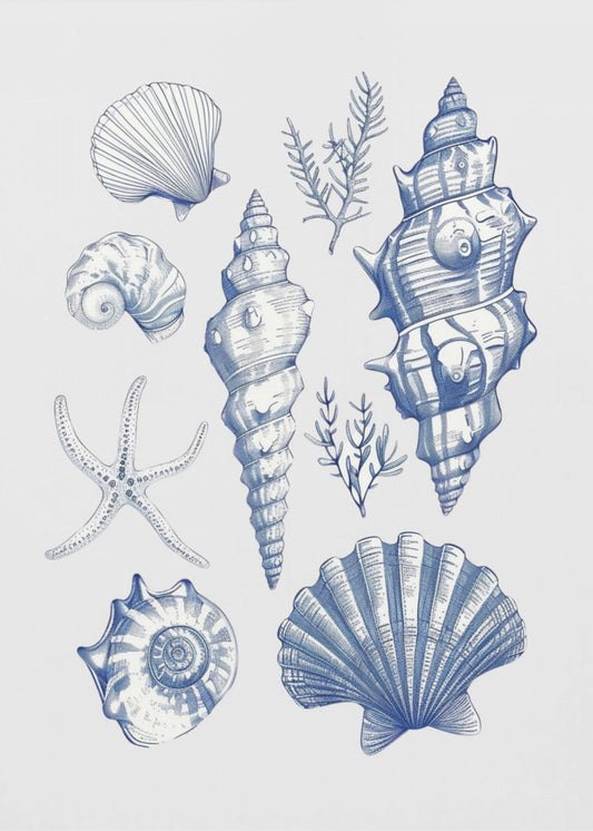 Shell Collage | Canvas