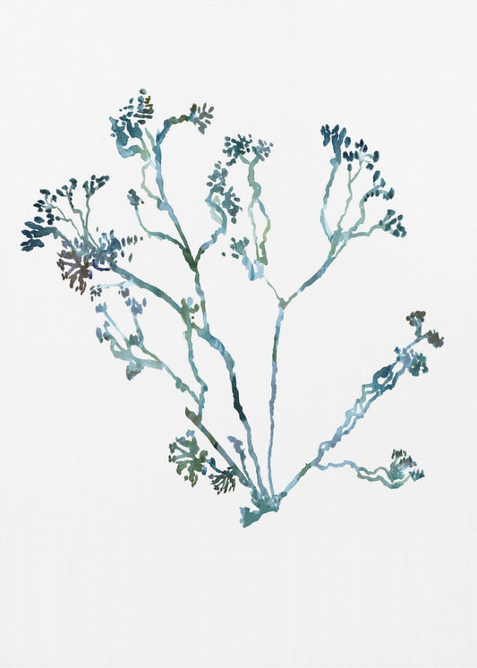 Delicate Blue Flowers 2 | Poster