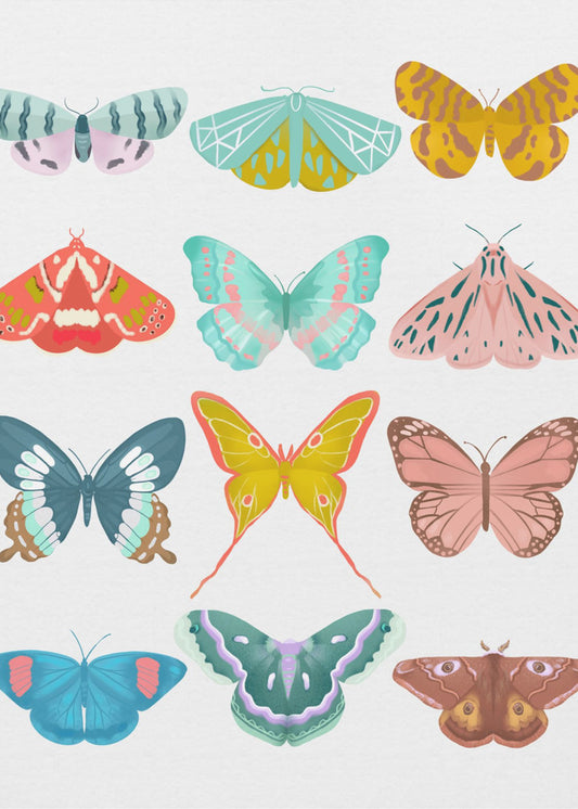 Schmetterling | Poster