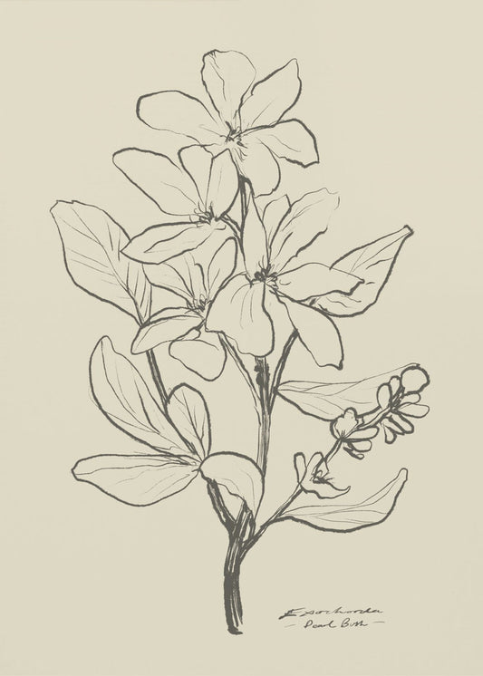 Floral 1 | Canvas