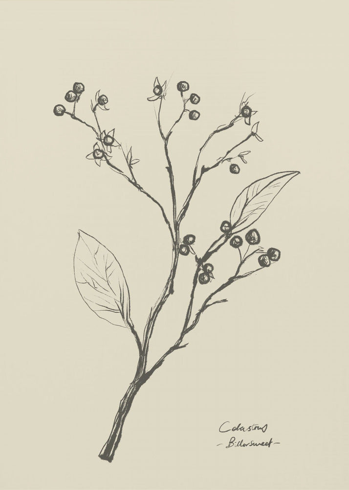 Floral 2 | Canvas