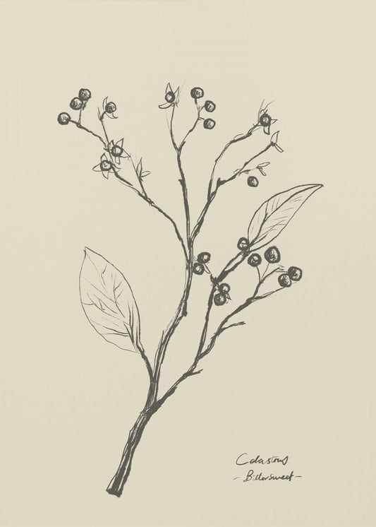 Floral 2 | Canvas