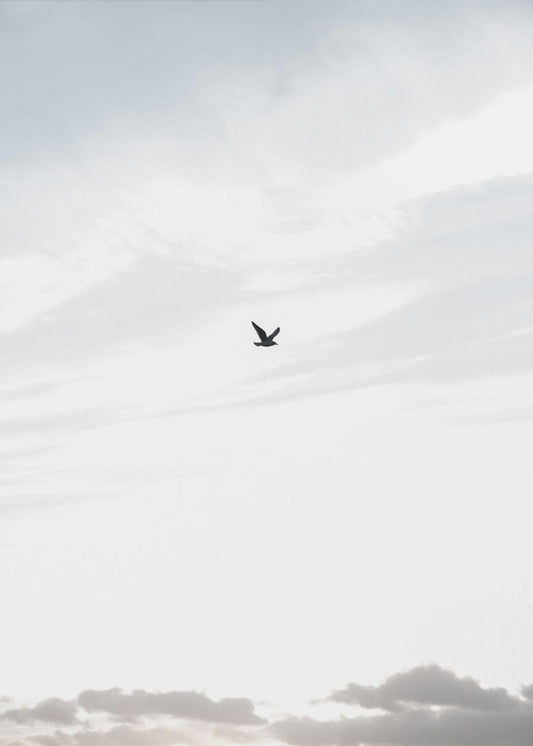Flying High | Poster