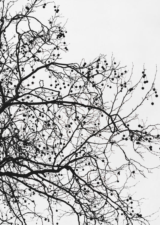 Wintersilhouetten 5 | Leinwand