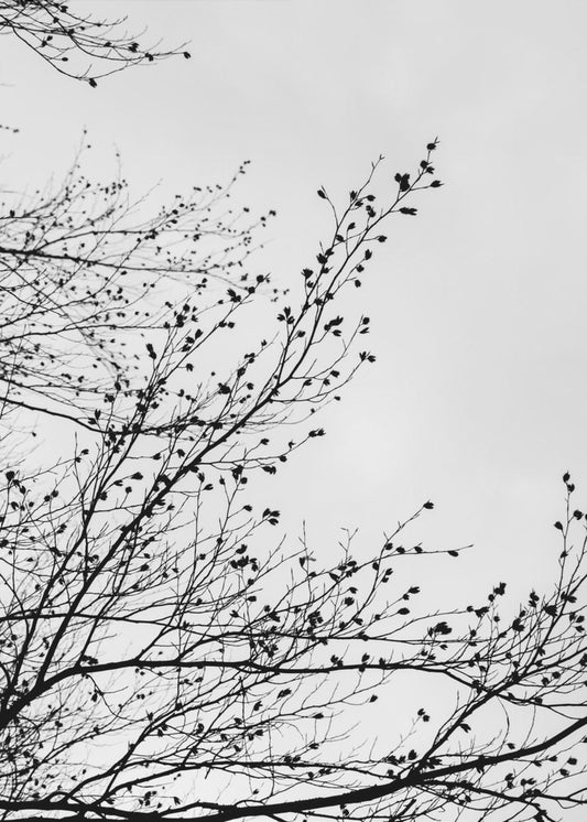 Wintersilhouetten 7 | Poster