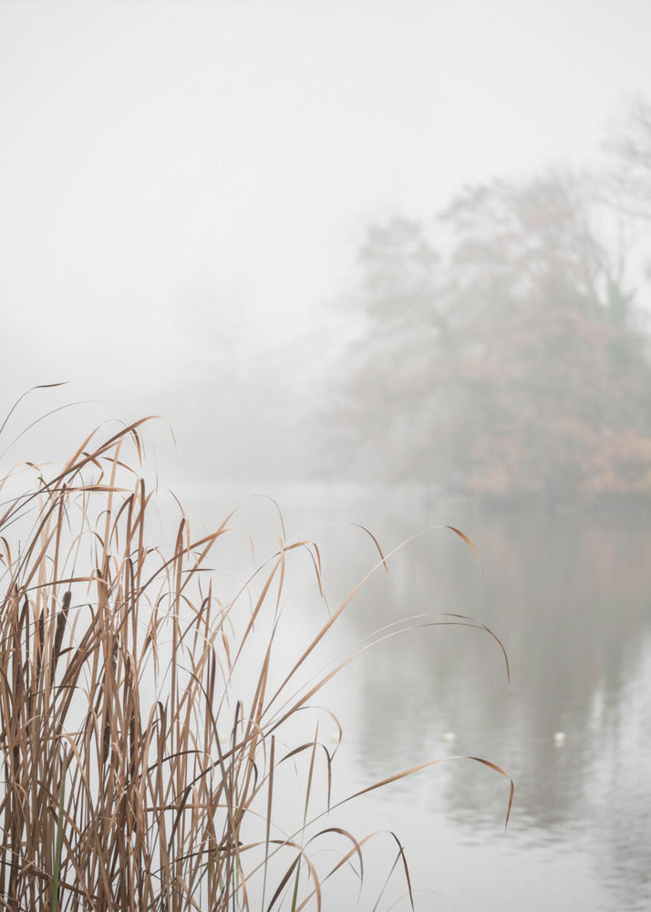 Am See | Leinwand