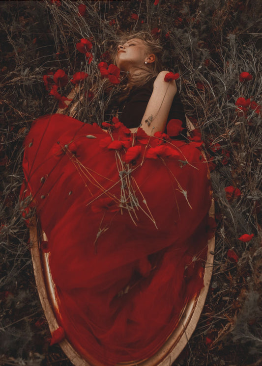 Framed in poppies | Canvas